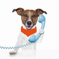 Call Us for hearing aids