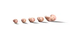 Oticon Own™
